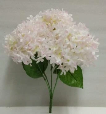 Jasmine Flower Bunch x5